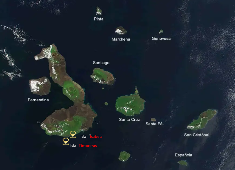 Mapa Itinerary Tour Isla IIsabela mas isla tintoreras